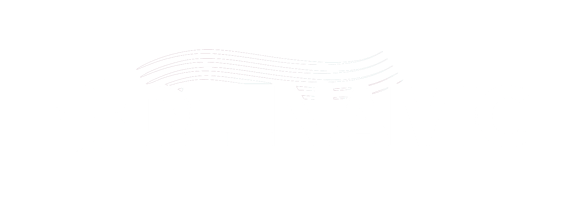 Deenamic Final Logo White